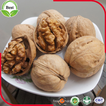 Chinese Xinjiang Thin Shell Walnut